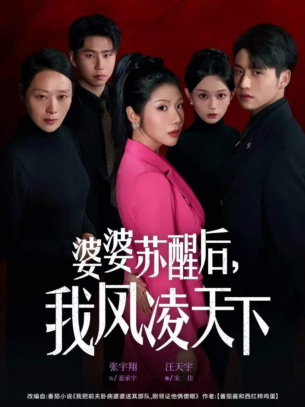 婆婆苏醒后我凤凌天下